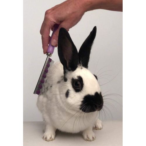  Small Pet Select Pet HairBuster Comb - DeShedding Tool for Rabbits, Cats, Dogs