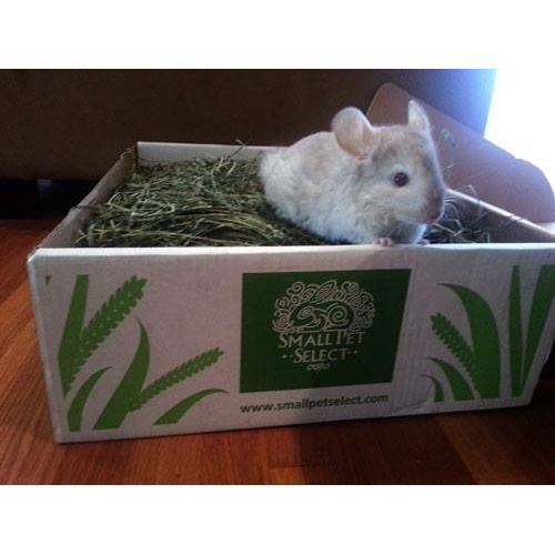  Small Pet Select 2nd Cutting Perfect Blend Timothy Hay Pet Food