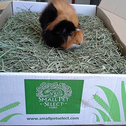  Small Pet Select 2nd Cutting Perfect Blend Timothy Hay Pet Food