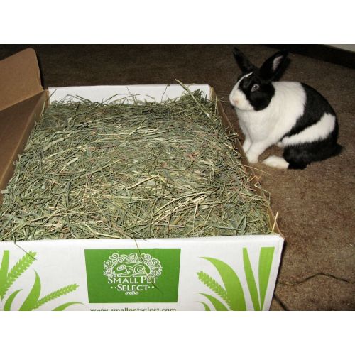  Small Pet Select 2nd Cutting Perfect Blend Timothy Hay Pet Food