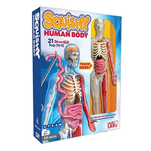  [아마존베스트]SmartLab Toys Squishy Human Body, Multicolor, Standard