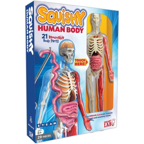  [아마존베스트]SmartLab Toys Squishy Human Body, Multicolor, Standard