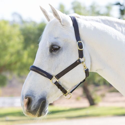  Smartpake Plymouth Halter by SmartPak