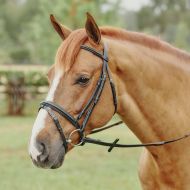 Smartpake Plymouth Dressage Bridle by SmartPak