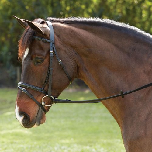  Smartpake Plymouth Dressage Bridle by SmartPak