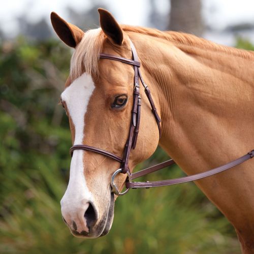  Smartpake Plymouth Basic Hunter Bridle by SmartPak