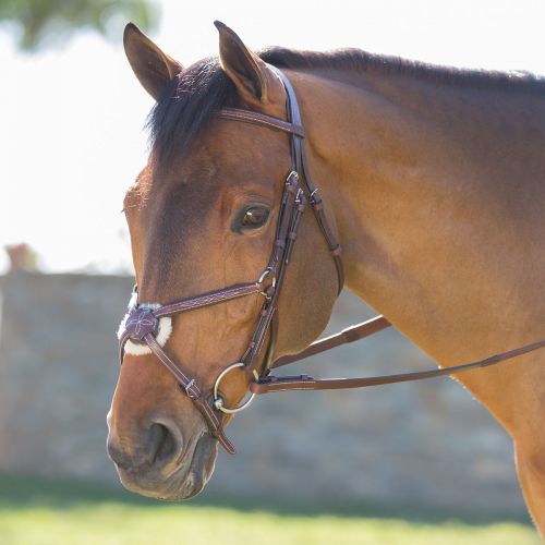  Smartpake Harwich Figure 8 Bridle by SmartPak