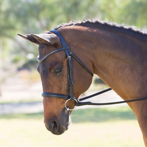  Smartpake Harwich Bling Dressage Bridle by SmartPak