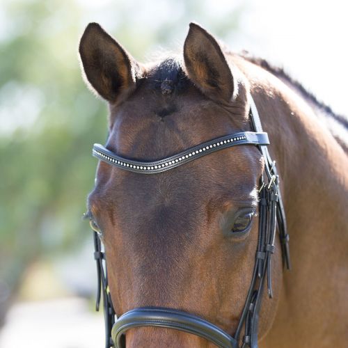  Smartpake Harwich Bling Dressage Bridle by SmartPak