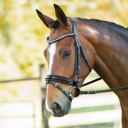  Smartpake Wellfleet Contoured Patent Leather Dressage Bridle by SmartPak