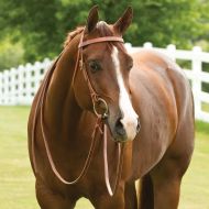 Smartpake Rockin SP Browband Headstall - Tie End