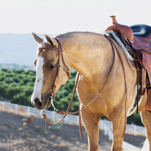  Smartpake Rockin SP Browband Headstall - Tie End