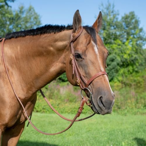  Smartpake Rockin SP Flat Noseband