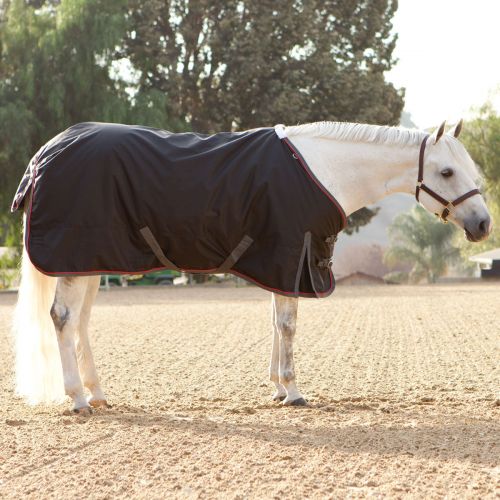  Smartpake Rockin SP Ultimate Waterproof Turnout Blanket