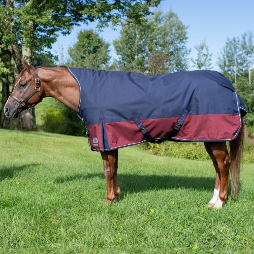  Smartpake Rockin SP Ultimate High Neck Turnout Blanket