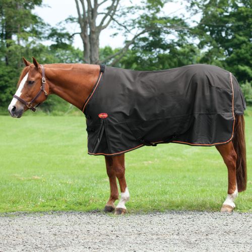  Smartpake Big D Magnum Heavy Turnout Blanket