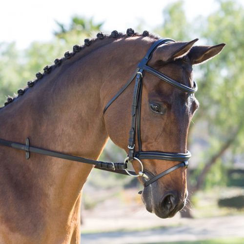  Smartpake Kavalkade Quentin Dressage Bridle