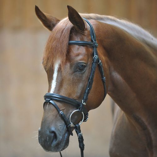  Smartpake Kavalkade Quentin Dressage Bridle