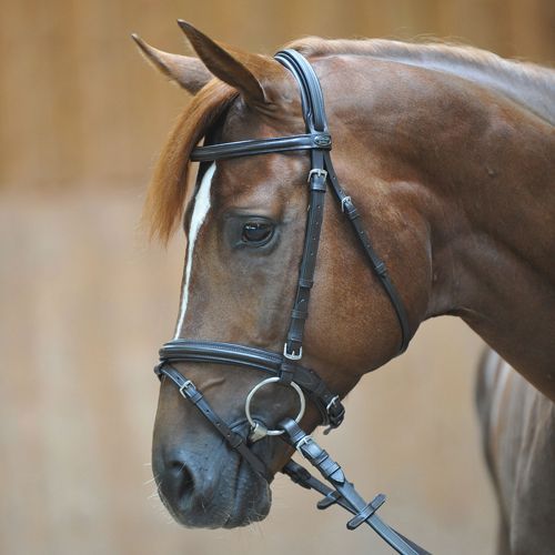  Smartpake Kavalkade Quentin Dressage Bridle