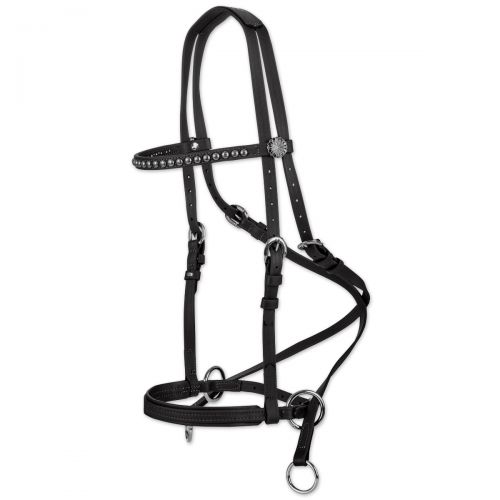  Smartpake SmartPak Exclusive Dr. Cook Deluxe Beta Bitless Bridle