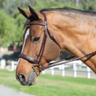 Smartpake Red Barn Tryon Bridle