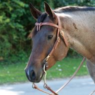 Smartpake Perris Knotted Browband Headstall with Snaps