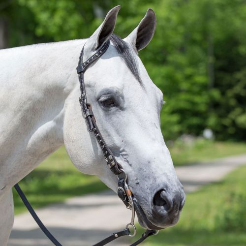  Smartpake Weaver Roundtable Single Ear Headstall