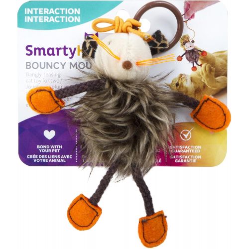  SmartyKat Interactive and Wand Cat Toys