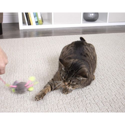  SmartyKat Interactive and Wand Cat Toys