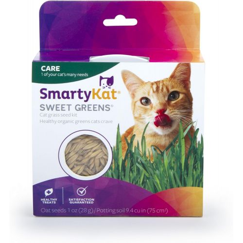  SmartyKat Sweet Greens Cat Grass Kit- 1 Oz