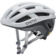 SMITH Persist MIPS