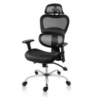 Smugdesk 1388FK Ergonomic High Back Mesh Adjustable Headrest and Lumbar Support 3D Armrest Office Chair Standard Size Black