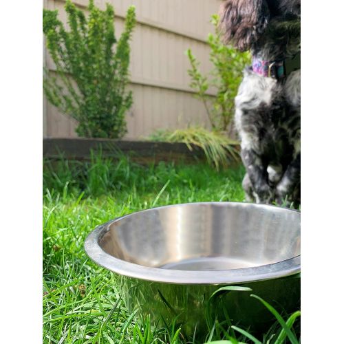  Snow Peak Unisexs Dog Bowl-Stainless Steel, Unset, Medium