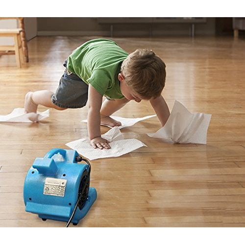  Soleaire Mini Storm 1/12 HP Mini Air Mover Carpet Dryer Floor Blower Fan for Home Use, Blue