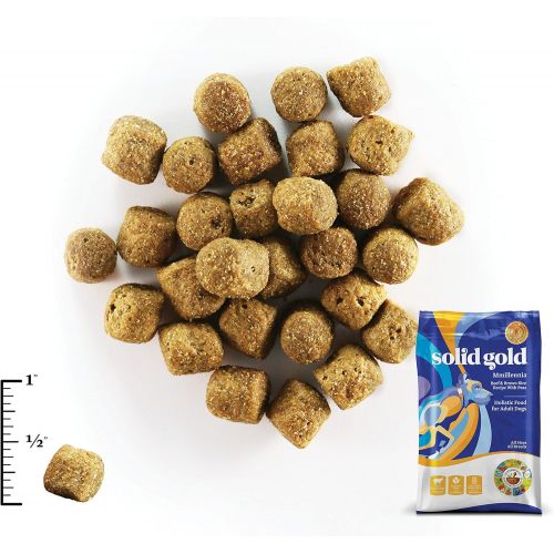  Solid Gold - Mmillennia With Natural Beef, Brown Rice & Peas - Fiber Rich- Probiotic Support - Dry Dog Food For Sensitive Stomachs