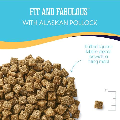  Solid Gold - Fit & Fabulous - Grain-Free Natural Chicken, Sweet Potato & Green Bean - Holistic Weight Control Dog Food