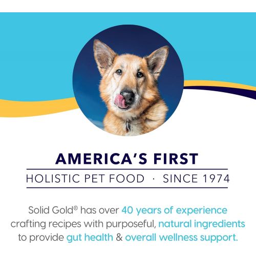  Solid Gold - Holistique Blendz - Natural Senior Dog Food for Sensitive Stomachs - Oatmeal, Pearled Barley and Fish Meal - Potato Free - Dry Dog Food