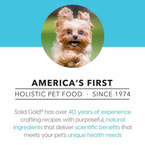  Solid Gold - Wee Bit With Real Bison, Brown Rice & Pearled Barley - Potato Free - Fiber Rich with Probiotic Support - Holistic Dry Dog Food for Small Dogs of All Life Stages