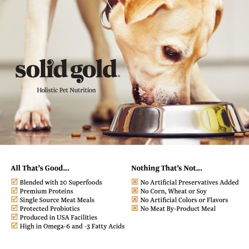  Solid Gold - Wee Bit With Real Bison, Brown Rice & Pearled Barley - Potato Free - Fiber Rich with Probiotic Support - Holistic Dry Dog Food for Small Dogs of All Life Stages