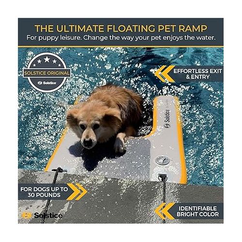  Solstice Inflatable Pup Plank Mini Dog Ramp Water Float Ladder Step for Fishing Boat Docks with Storage Bag, for Small Sized Breeds, Multicolor