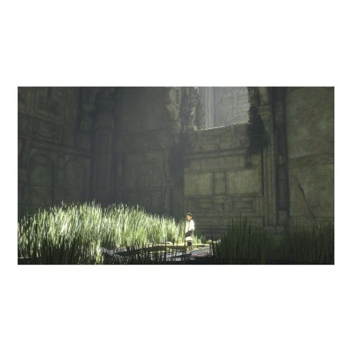 소니 Sony Last Guardian Premium Edition (PS4)