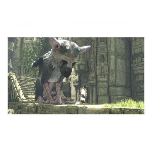 소니 Sony Last Guardian Premium Edition (PS4)