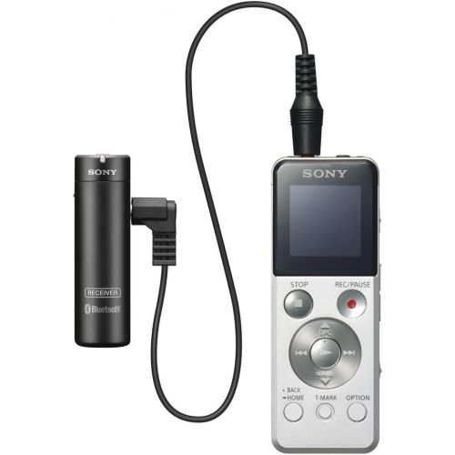 소니 [아마존베스트]Sony ECMAW4 Wireless Microphone (Black)