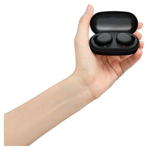 소니 Sony WF-XB700 EXTRA BASS True Wireless Earbuds Headset/Headphones with Mic for Phone Call Bluetooth Technology, Black