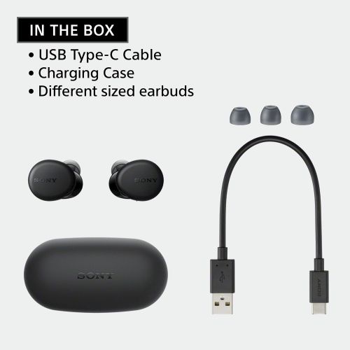 소니 Sony WF-XB700 EXTRA BASS True Wireless Earbuds Headset/Headphones with Mic for Phone Call Bluetooth Technology, Black
