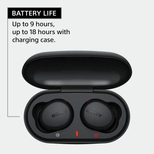 소니 Sony WF-XB700 EXTRA BASS True Wireless Earbuds Headset/Headphones with Mic for Phone Call Bluetooth Technology, Black