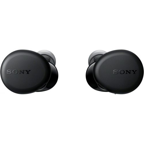 소니 Sony WF-XB700 EXTRA BASS True Wireless Earbuds Headset/Headphones with Mic for Phone Call Bluetooth Technology, Black