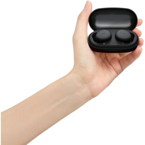 소니 Sony WF-XB700 EXTRA BASS True Wireless Earbuds Headset/Headphones with Mic for Phone Call Bluetooth Technology, Black