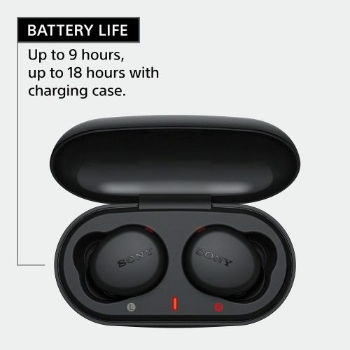 소니 Sony WF-XB700 EXTRA BASS True Wireless Earbuds Headset/Headphones with Mic for Phone Call Bluetooth Technology, Black