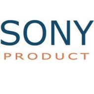 Sony Cybershot DSCW300 13.6MP Digital Camera with 3x Optical Zoom with Super Steady Shot
